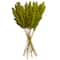 Dried Plant Pampas Natural Foliage with Long Stems